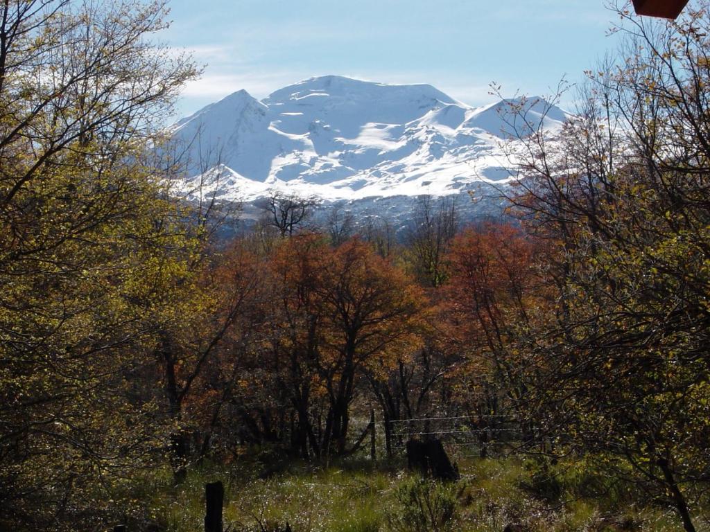 Paesaggio naturale nelle vicinanze del lodge