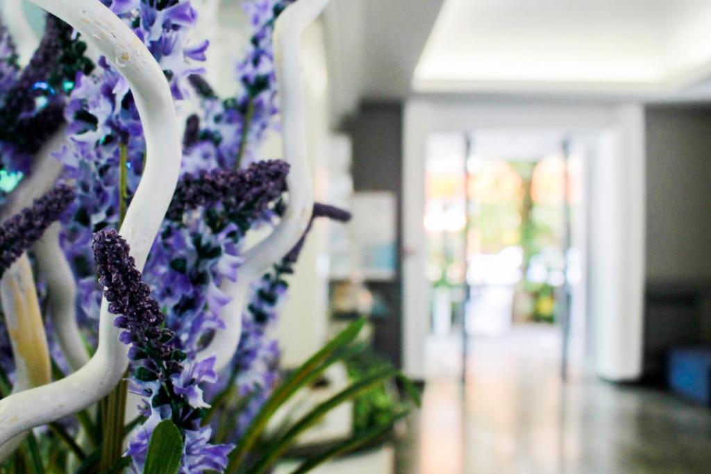Fotografie z fotogalerie ubytování Hotel Della Motta v destinaci Bellaria-Igea Marina