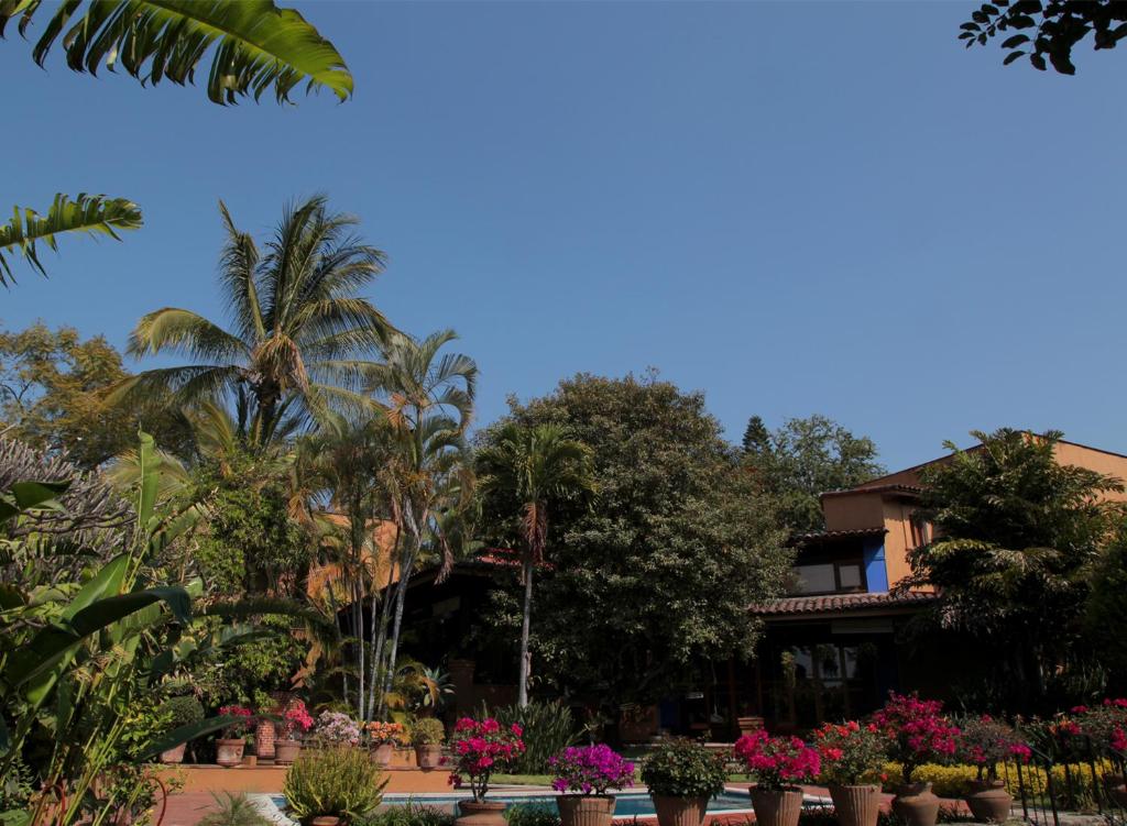 uma vista para o hotel a partir dos jardins em Orchidelirium Casa Hotel & Salud Estética em Cuernavaca