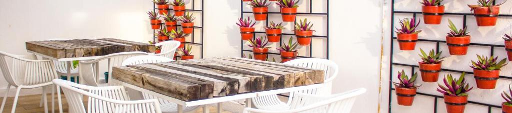 Fotografie z fotogalerie ubytování Moloch Hostel & Suites v destinaci Cancún
