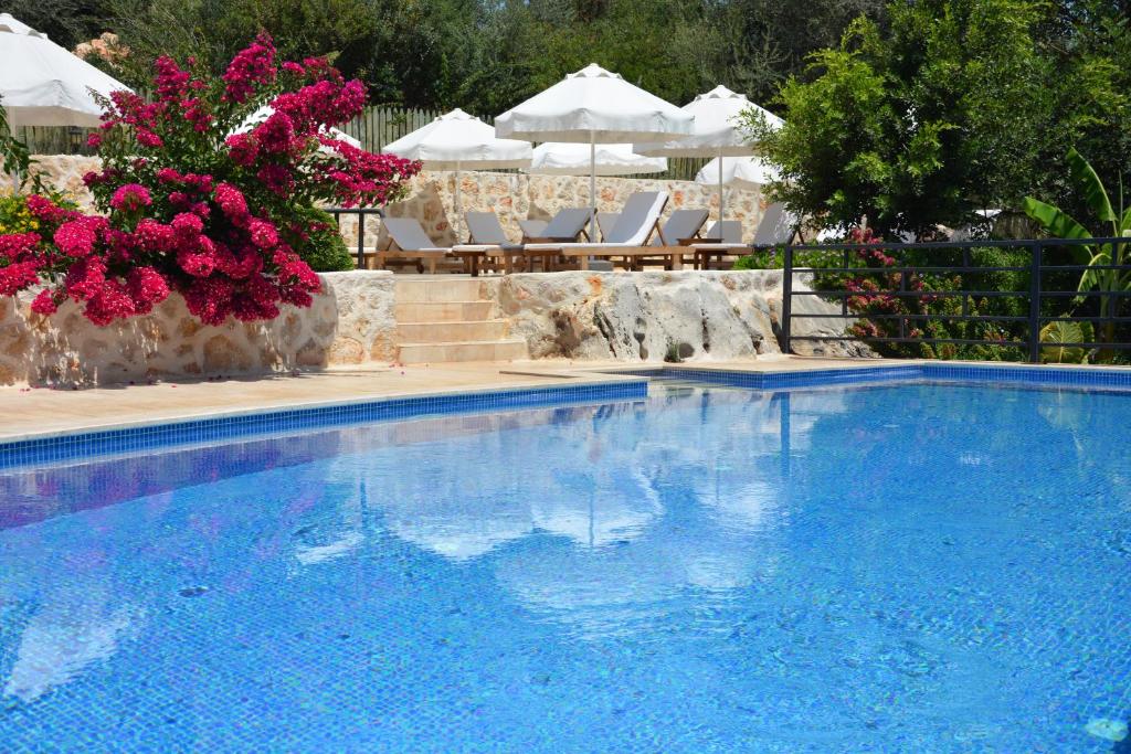 a large blue swimming pool with chairs and pink flowers at Dardanos Hotel in Patara