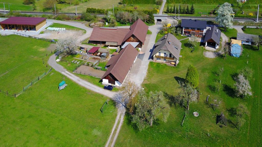 an overhead view of a house on a green field at Ferienhof Ressmann-Tratnik in Ledenitzen