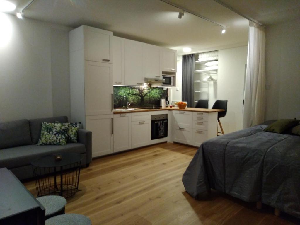 sala de estar con sofá y cocina en Studiohuoneisto Lohjan keskusta, en Lohja