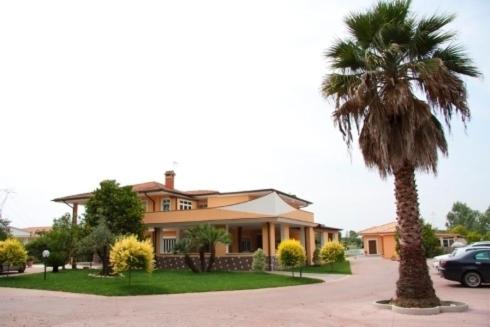 palma przed domem w obiekcie Hotel Villa Aurora w mieście Latina