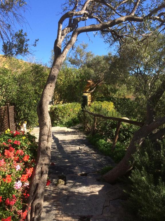 a path in a garden with flowers and a tree at Dimora Simius in Villasimius