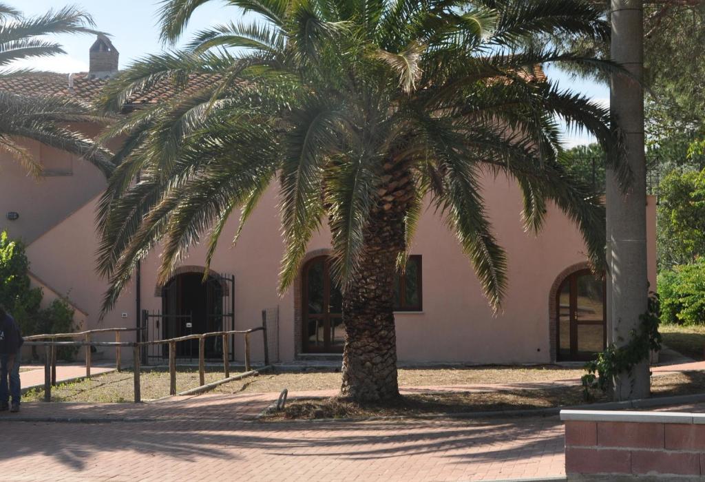 a palm tree in front of a building at La Steccaia in Riparbella