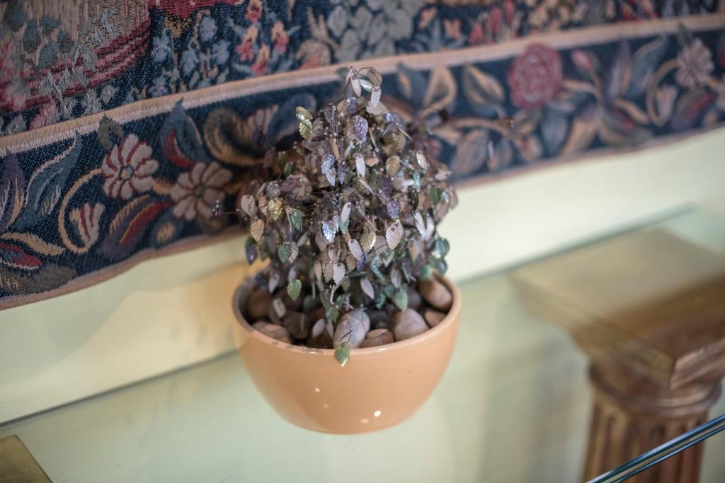 Imagen de la galería de Hotel Concordy, en Madrid