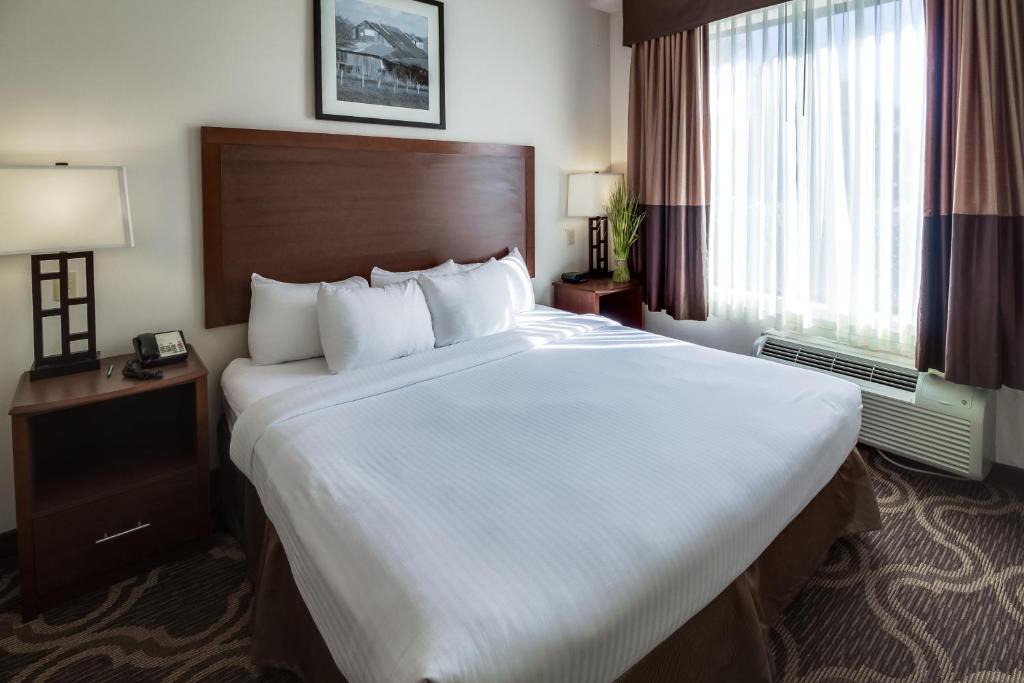 Postel nebo postele na pokoji v ubytování Ashmore Inn and Suites Lubbock