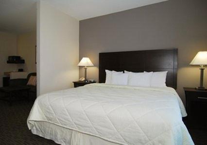 Comfort Inn & Suites Oklahoma City West - I-40 photo