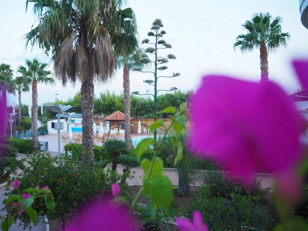 Zahrada ubytování Oasiclub Hotel - Appartamenti