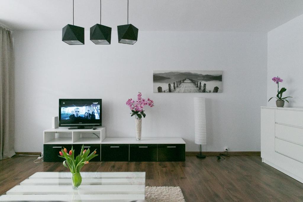 Televízia a/alebo spoločenská miestnosť v ubytovaní Zielona Herbowa