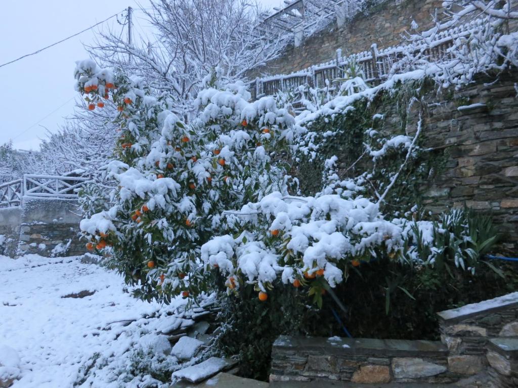 Koukourava Garden v zime
