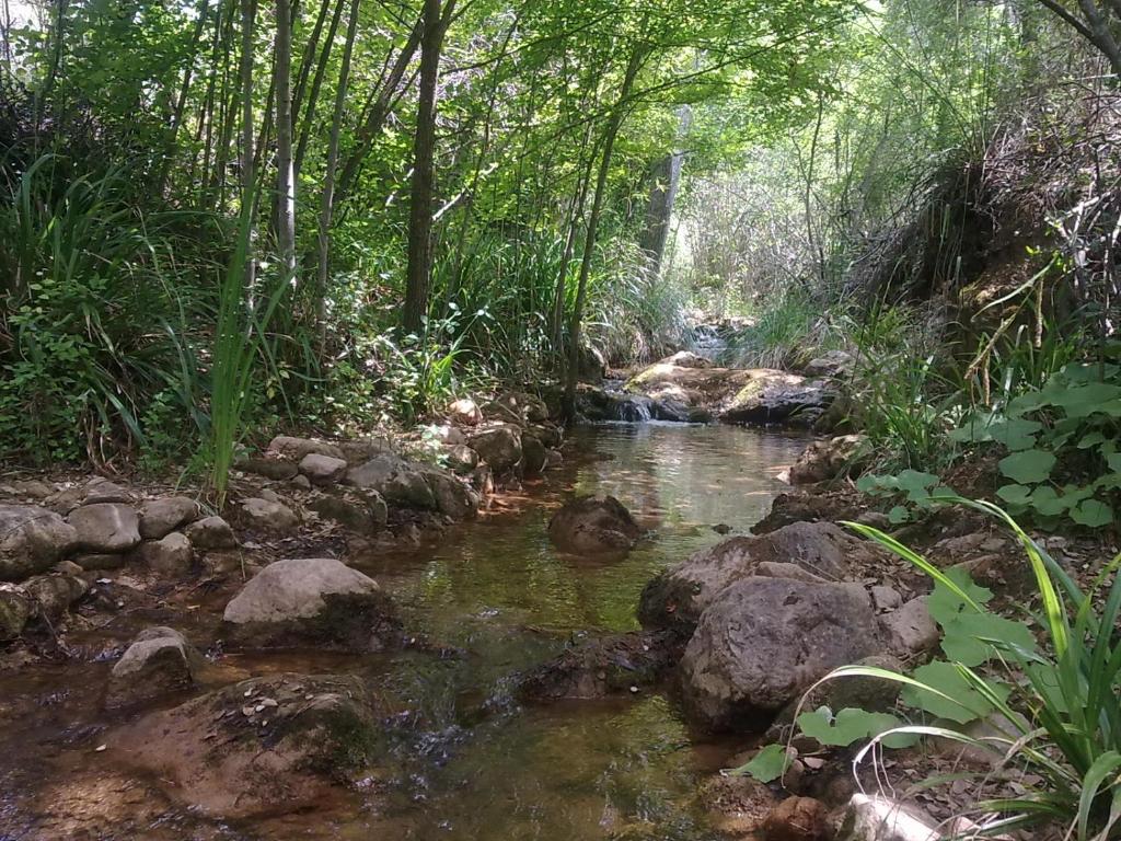 Fotografia z galérie ubytovania Arroyo Colladillos y Caprichosa v destinácii Cotillas