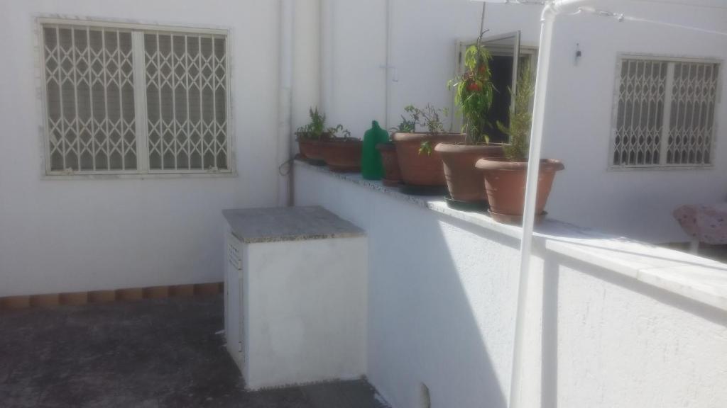 Fotografie z fotogalerie ubytování Villa Emidio v destinaci Salve