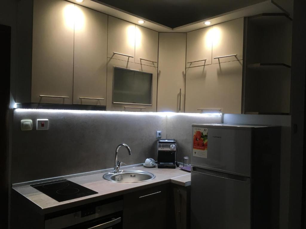 Kuchyň nebo kuchyňský kout v ubytování Apartment Park Sveti Vrach