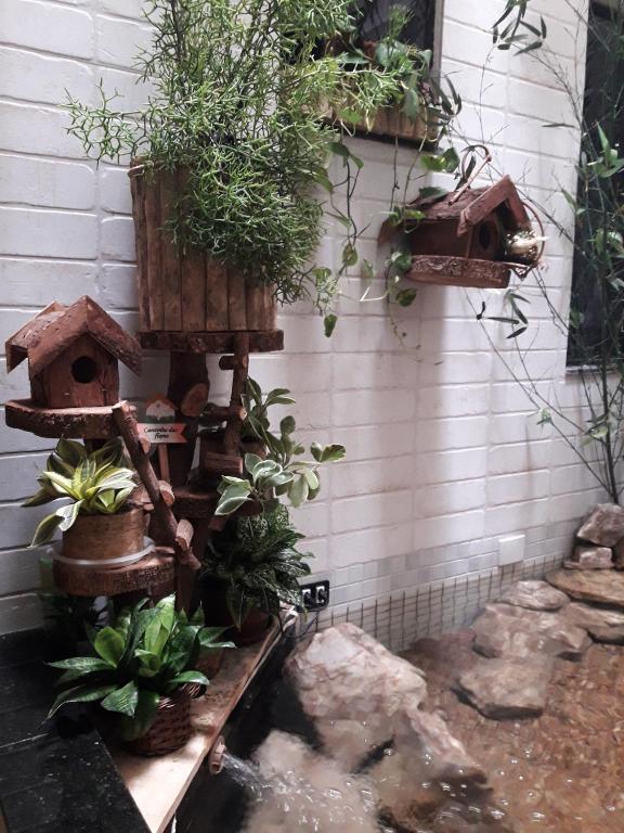  Hotel Sempre Executive