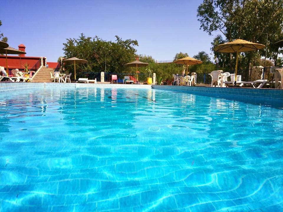 a large blue swimming pool with chairs and umbrellas at Camping & Hôtel Le Calme in Essaouira