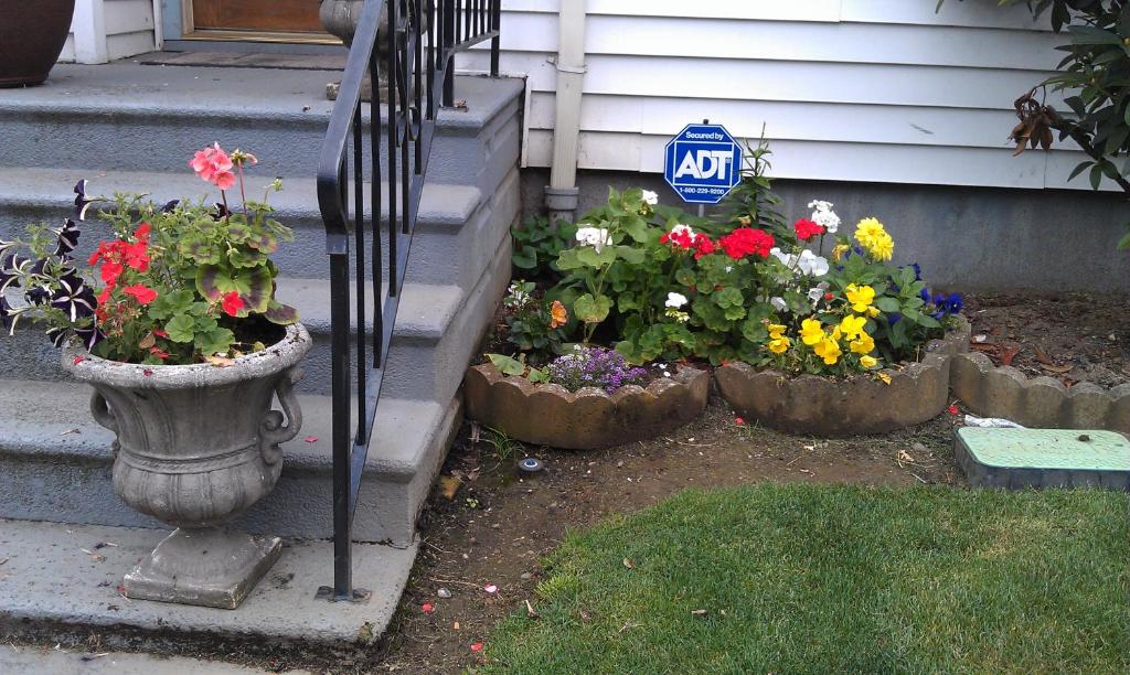 three pots of flowers on the steps of a house at Duplex in Alberta Art District in Portland