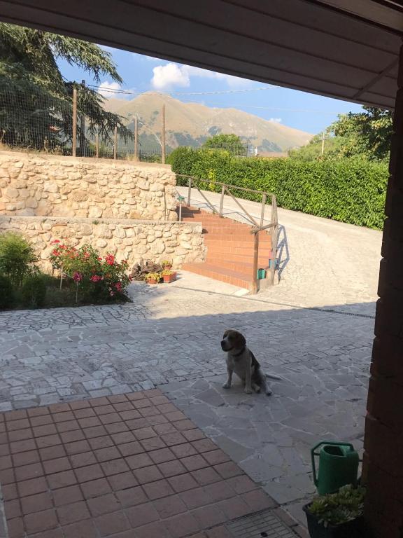 Kép Chalet Paola szállásáról Assergiben a galériában