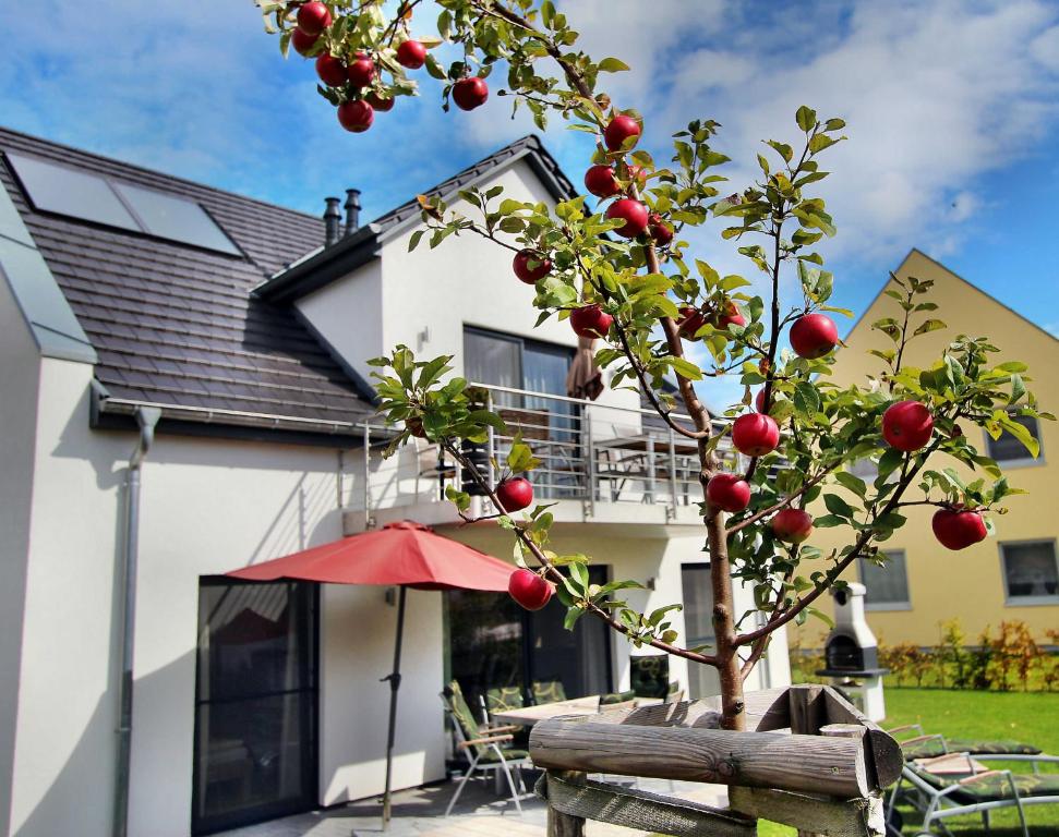 uma macieira em frente a uma casa com um guarda-chuva em VILLA HUeGEL _ OG_Fewo em Göhren-Lebbin