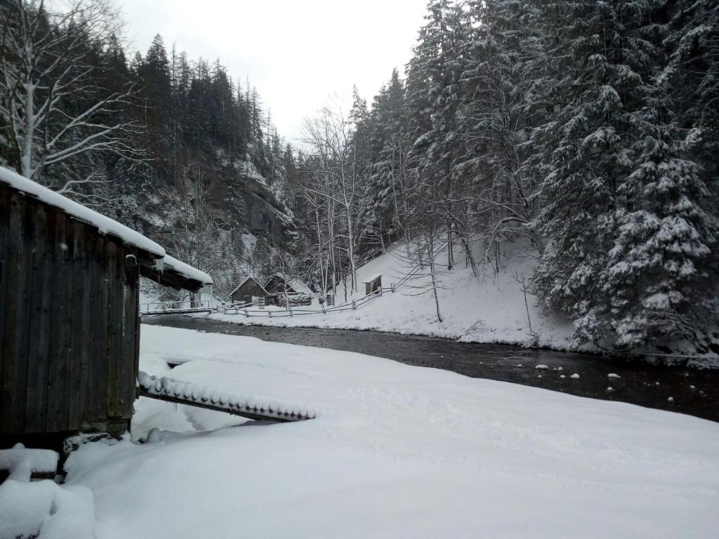 a snow covered path next to a river with trees at Apartmány Grobarčík in Zuberec