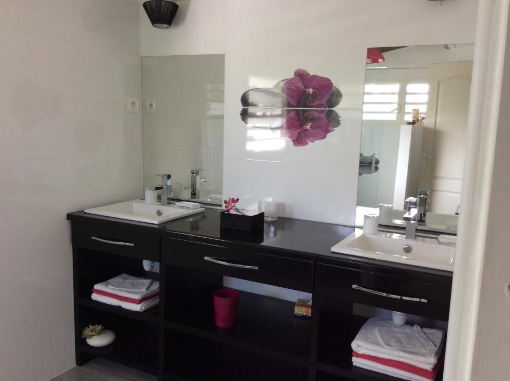 a bathroom with two sinks and a large mirror at Villa Acajou in Saint-François