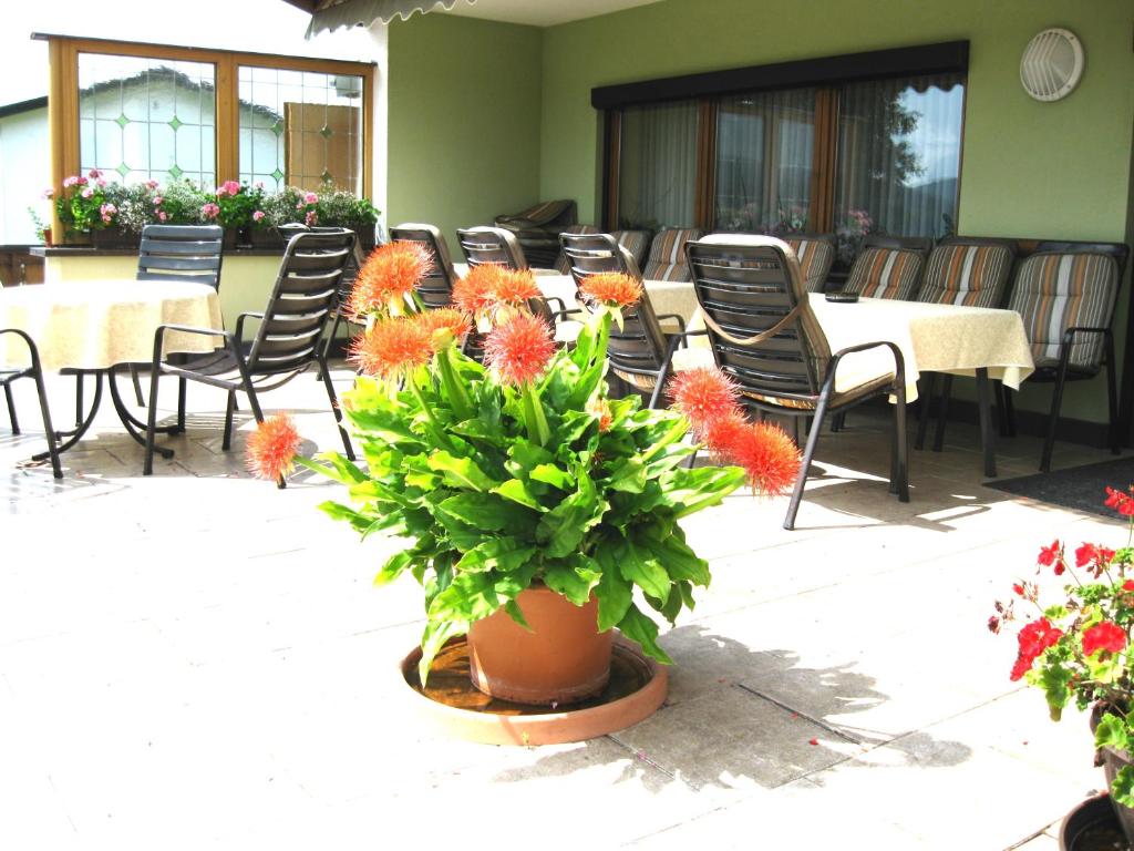 um pátio com mesas e cadeiras e um vaso de plantas em Gästehaus Steininger em Zwiesel