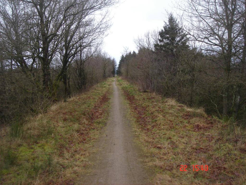 Příroda nedaleko apartmánu