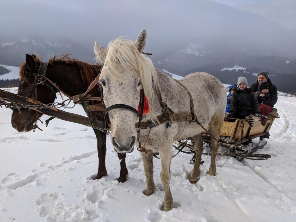 Під Горбком vendégei