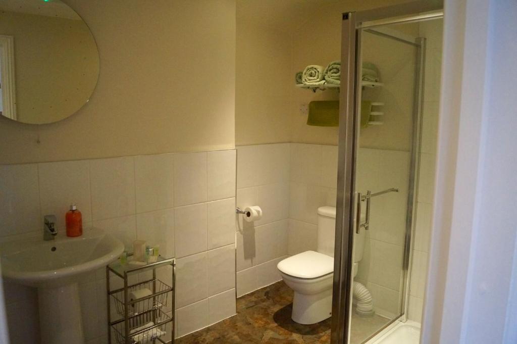 a bathroom with a toilet and a sink and a shower at The Arun View Inn in Littlehampton