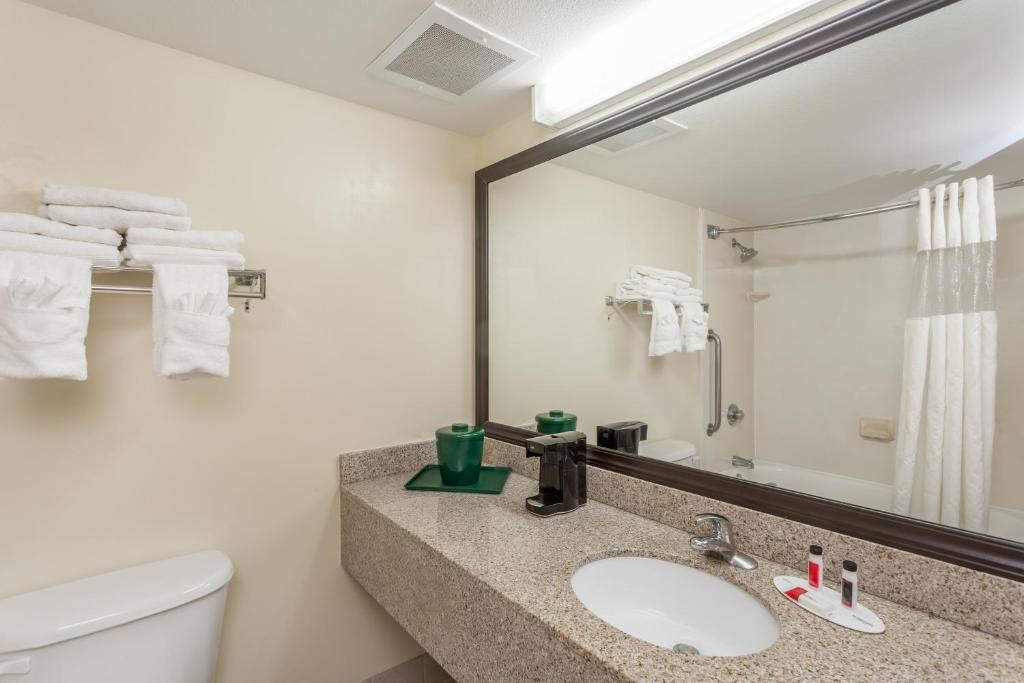 Baymont Inn & Suites by Wyndham Fort Myers I-75 - Suite 1 Chambre Lit King-Size - Non-Fumeurs