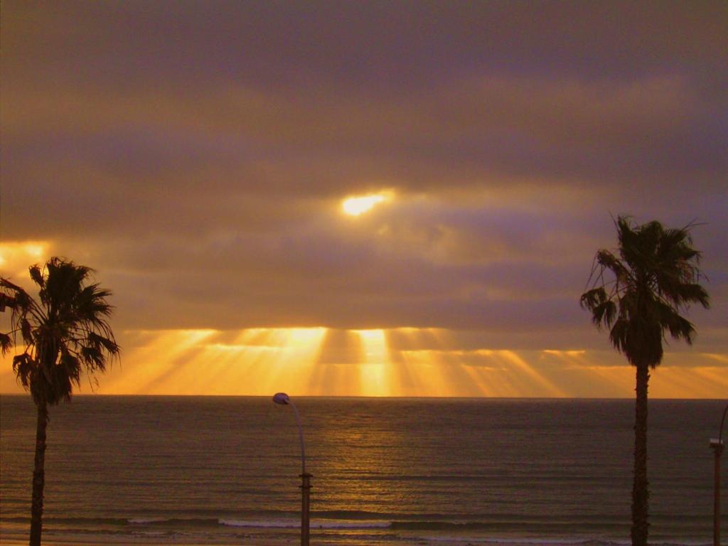 una puesta de sol sobre el océano con palmeras en el primer plano en Hotel La Cumbre, en Piriápolis