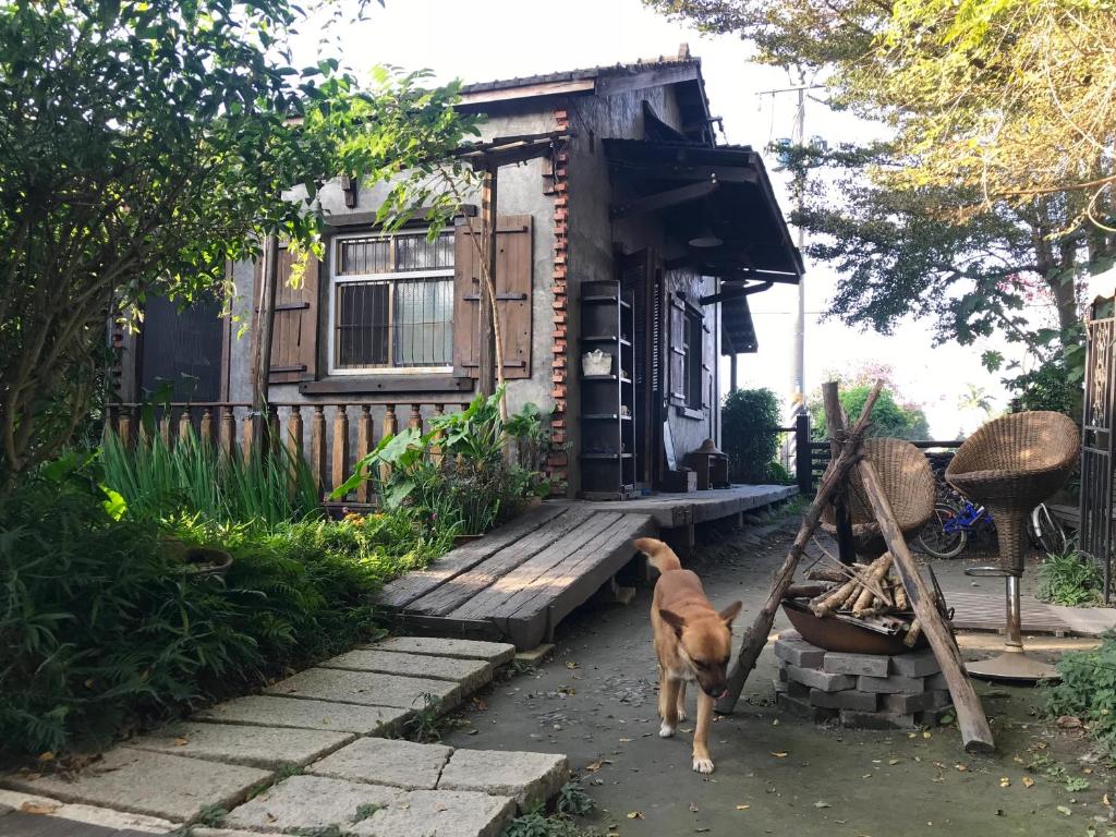 un chien debout devant une petite maison dans l'établissement Soothing Stay Backpackers Inn, à Tianwei