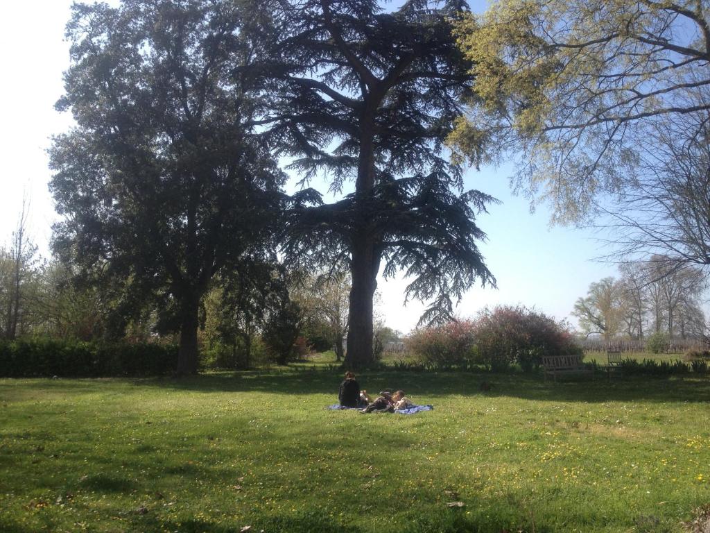 B&B Château Pierre de Lune - 3