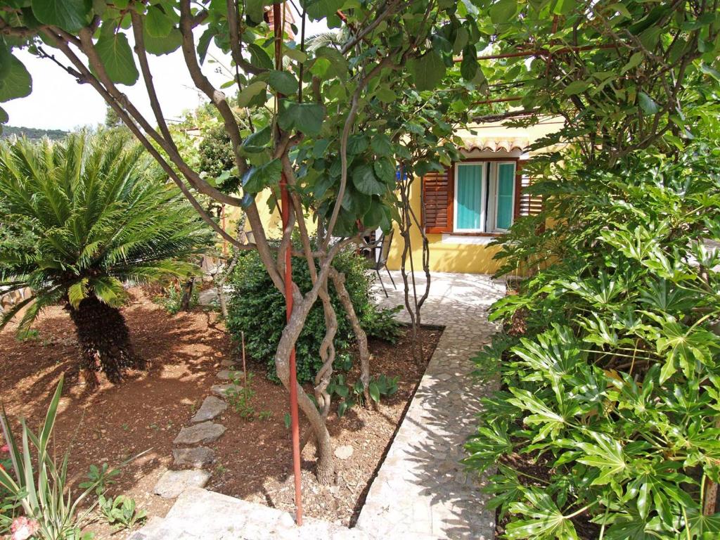 a garden with a small tree in front of a house at Stokic in Veli Lošinj