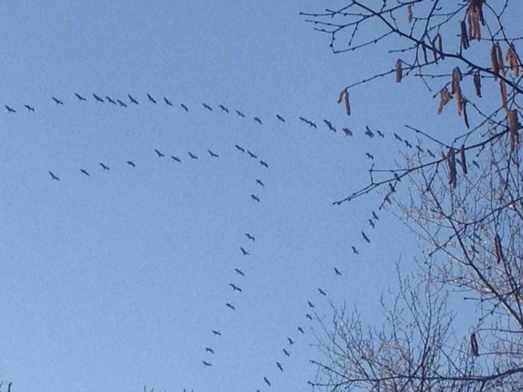 B&B Château Pierre de Lune - 15