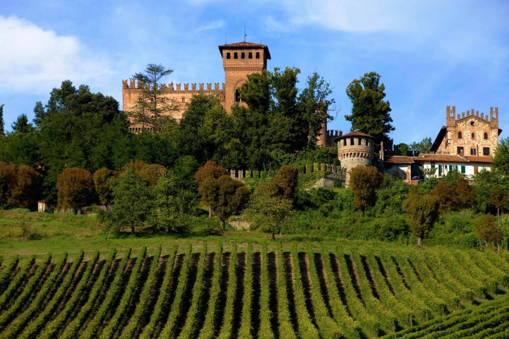 Gabiano的住宿－蓋比亞諾城堡酒店，一座城堡,山顶上拥有葡萄园