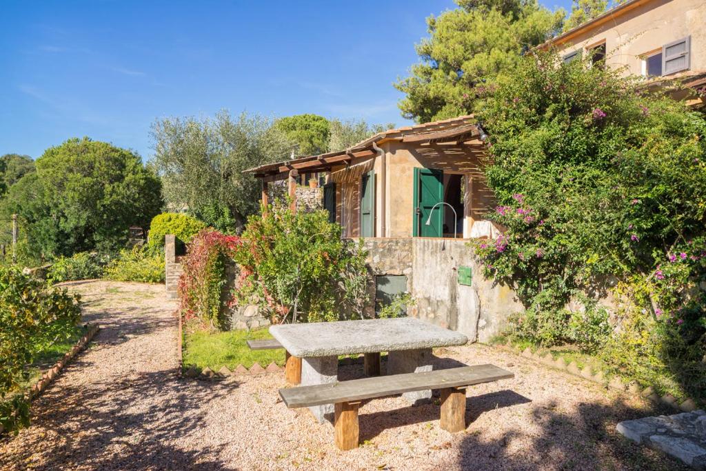 A garden outside Case Danesi