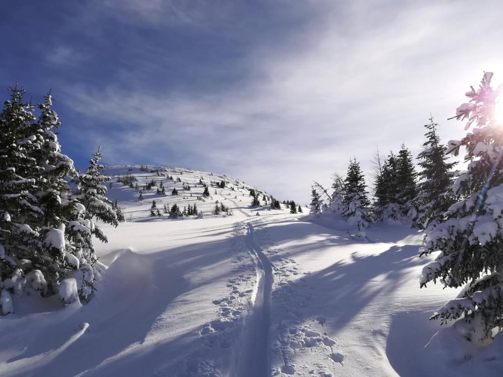 Premium Appartements Sonnenbahn v zime