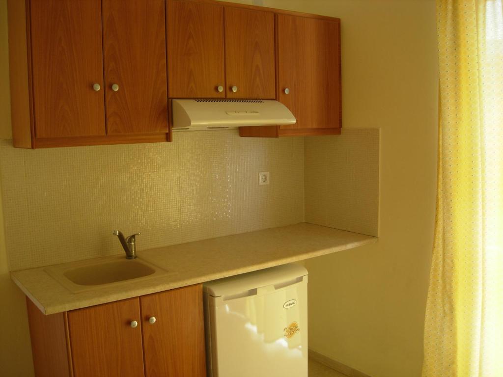 Kuchyň nebo kuchyňský kout v ubytování Philippos Studios & Apartments