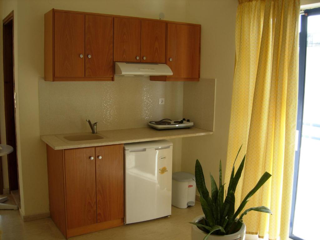 Kuchyň nebo kuchyňský kout v ubytování Philippos Studios & Apartments