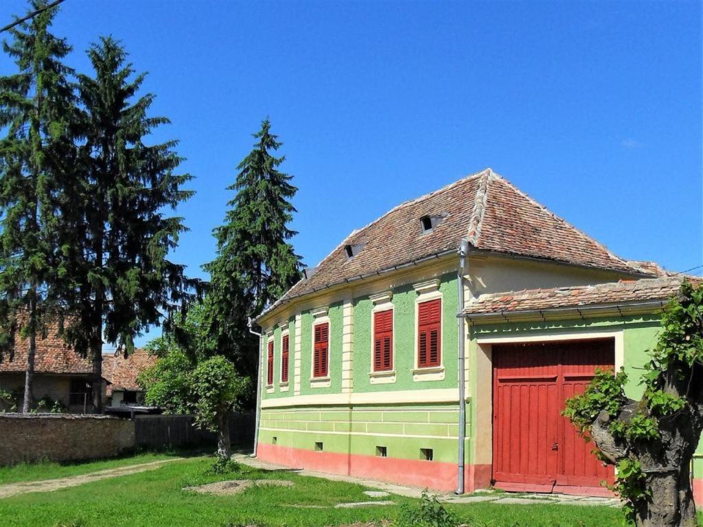 a green and red house with a red garage at Casa Arthur Richis in Richişu