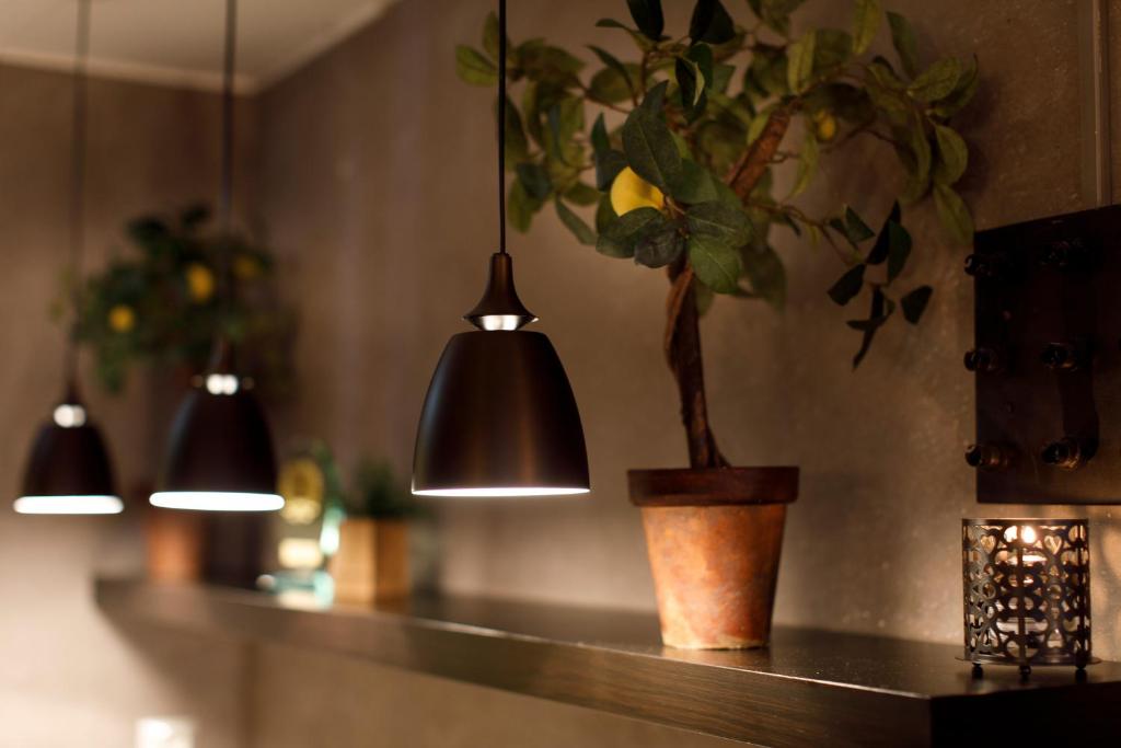 Fotografie z fotogalerie ubytování Saga Hotel Oslo, WorldHotels Crafted v Oslu