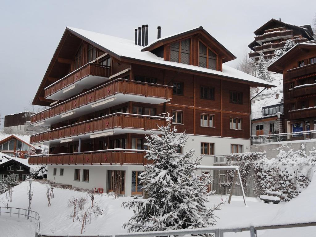 Chalet Bella Vista 4 v zimě