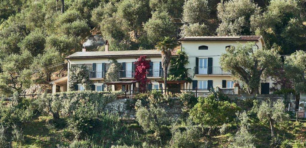 una casa en la ladera de una colina en La Lucertola, en Pugnano