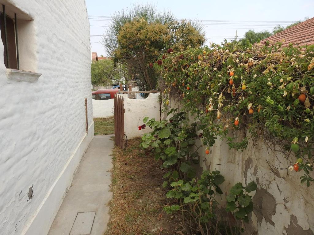 La Loberia - Las Grutas