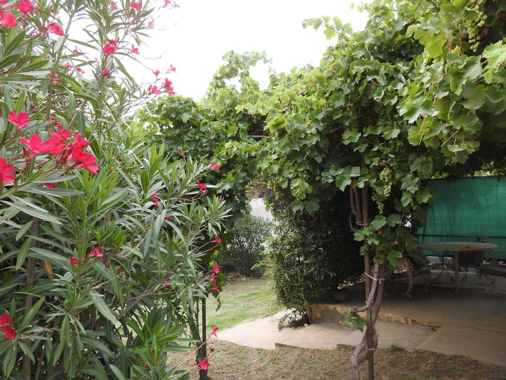 La Loberia - Las Grutas