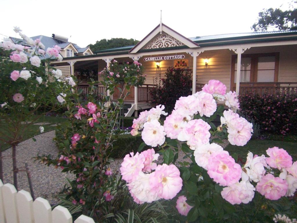 a bunch of pink flowers in front of a house at Reid's Place in Redcliffe