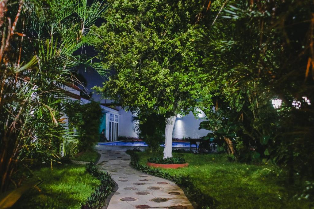 Zahrada ubytování Hotel Colon Merida