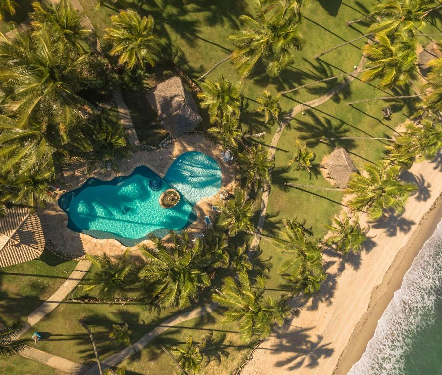 una vista aérea de una piscina en la playa con palmeras en Pousada Xalés de Maracaípe, en Porto de Galinhas